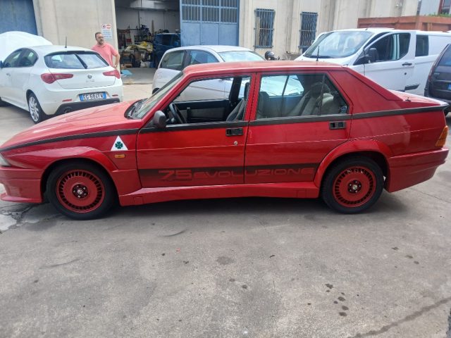 Alfa Romeo 75 EVOLUZIONE - foto 2 di 4