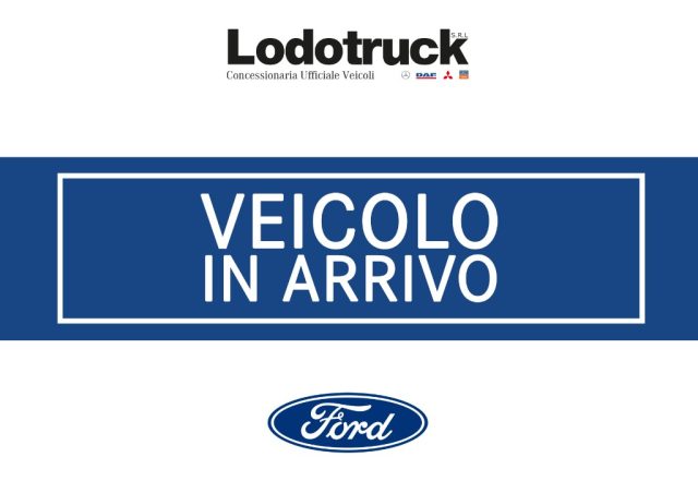 Ford Transit 350 cassone + gru usato a FILAGO