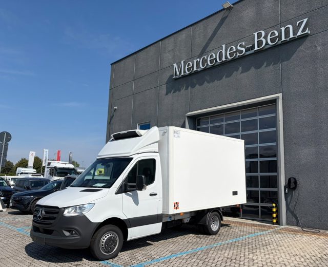 Mercedes-Benz Sprinter 515 T 37/35 + Cella Frigo FRCX, in vendita a Filago (BG)