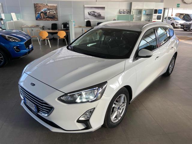 Ford Focus 1.5 EcoBlue 120 CV aut. SW Business Co-Pilot usato a IMOLA