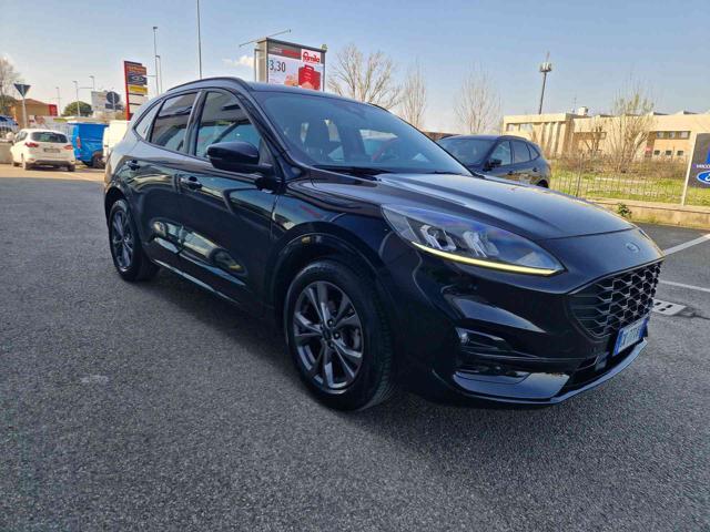 Ford Kuga 1.5 EcoBlue 120 CV 2WD ST-Line - foto 3 di 4