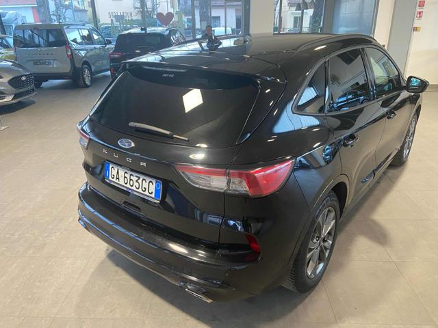 Ford Kuga 1.5 EcoBlue 120 CV 2WD aut. ST-Line X - foto 4 di 4