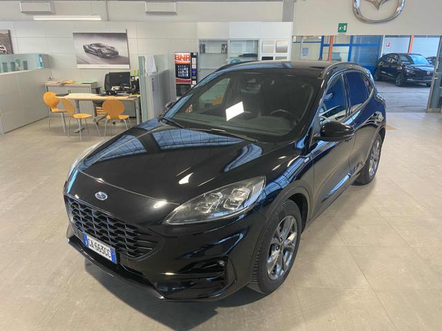 Ford Kuga 1.5 EcoBlue 120 CV 2WD aut. ST-Line X usato a IMOLA