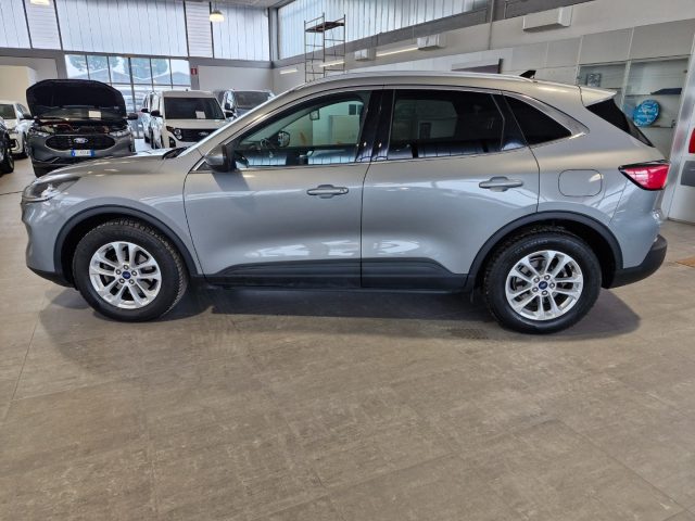 Ford Kuga 1.5 EcoBlue 120 CV 2WD Titanium - foto 2 di 16