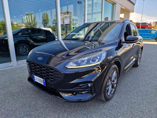 Ford Kuga 1.5 EcoBlue 120 CV 2WD ST-Line usato a IMOLA