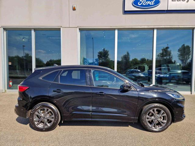 Ford Kuga 2.5 Full Hybrid 190 CV CVT 2WD ST-Line - foto 4 di 4