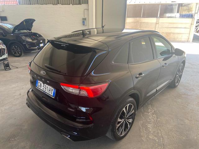 Ford Kuga 2.5 Plug In Hybrid 225 CV CVT 2WD ST-Line X - foto 4 di 4