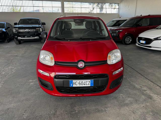 Fiat Panda 1.0 FireFly S&S Hybrid Icon - foto 4 di 4