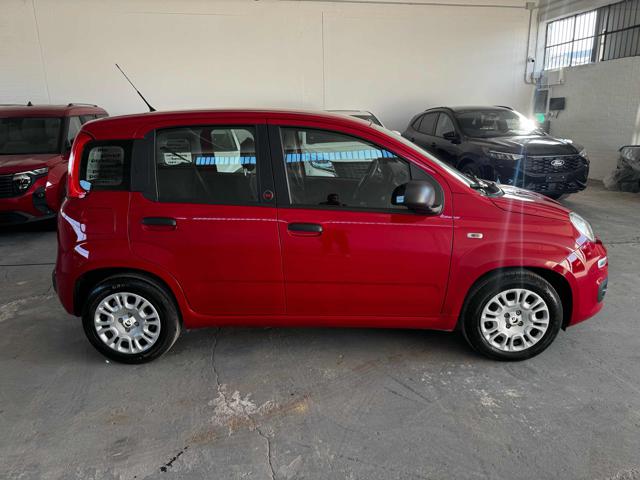 Fiat Panda 1.0 FireFly S&S Hybrid Icon - foto 3 di 4