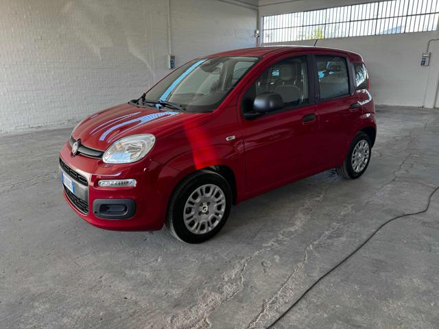 Fiat Panda 1.0 FireFly S&S Hybrid Icon usato a IMOLA