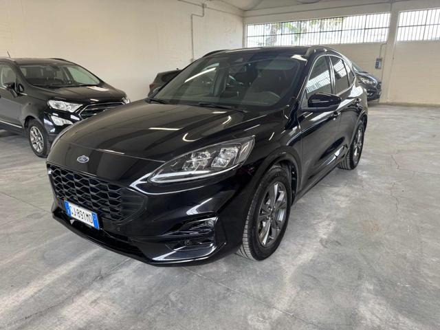 Ford Kuga 1.5 EcoBlue 120 CV aut. 2WD ST-Line X usato a IMOLA
