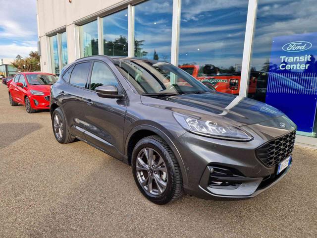 Ford Kuga 2.5 Plug In Hybrid 225 CV CVT 2WD ST-Line X - foto 3 di 19