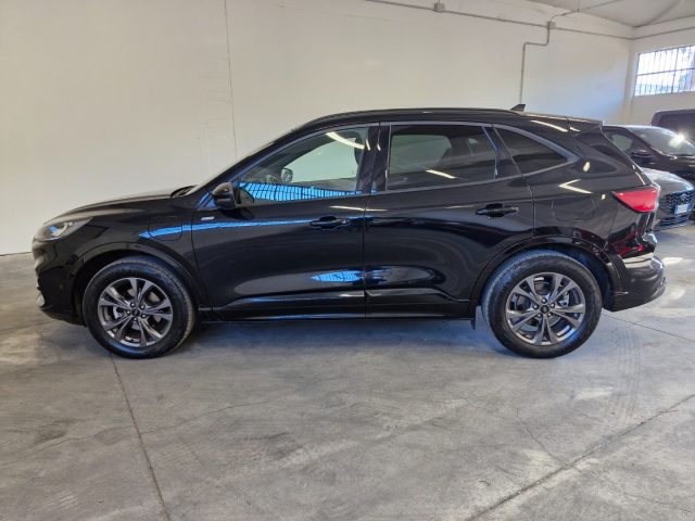 Ford Kuga 2.5 Plug In Hybrid 225 CV CVT 2WD ST-Line X - foto 2 di 4