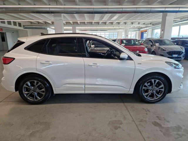 Ford Kuga 1.5 EcoBlue 120 CV aut. 2WD ST-Line X - foto 4 di 4