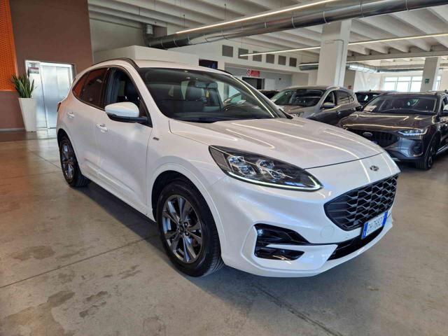 Ford Kuga 1.5 EcoBlue 120 CV aut. 2WD ST-Line X - foto 3 di 4