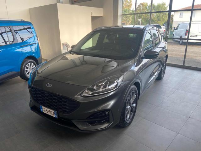 Ford Kuga 1.5 EcoBlue 120 CV aut. 2WD ST-Line, del 2023, 36.000 km, in vendita a Imola (BO)