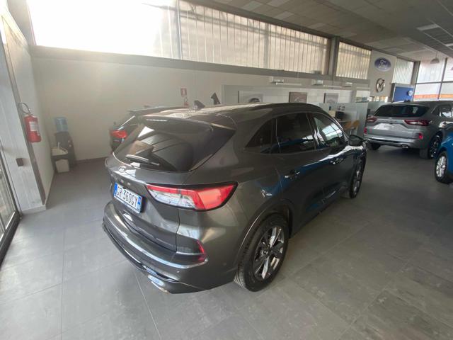 Ford Kuga 1.5 EcoBlue 120 CV aut. 2WD ST-Line - foto 4 di 4