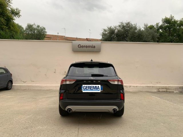 Ford Kuga 1.5 EcoBlue 120 CV 2WD Titanium Business - foto 3 di 4