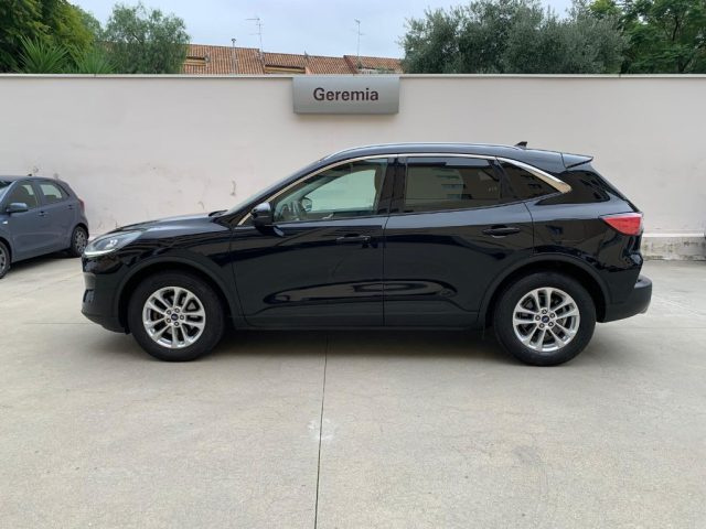 Ford Kuga 1.5 EcoBlue 120 CV 2WD Titanium Business - foto 2 di 4