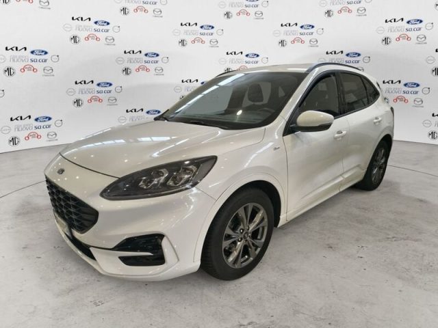 Ford Kuga Kuga 1.5 EcoBlue 120 CV aut. 2WD ST-Line X usato a CARESANABLOT