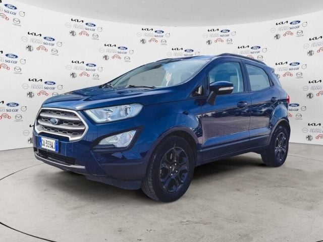 Ford EcoSport 1.5 Ecoblue 100cv S&S Business usato a CARESANABLOT