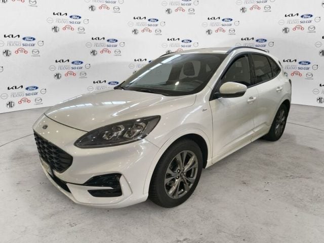 Ford Kuga Kuga 1.5 EcoBlue 120 CV aut. 2WD ST-Line X usato a CARESANABLOT