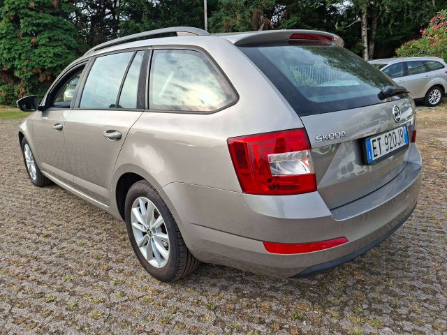 Skoda Octavia Wagon 1.6 tdi cr Ambition 105cv 4MOTION 4x4 UNIPRO - foto 4 di 4