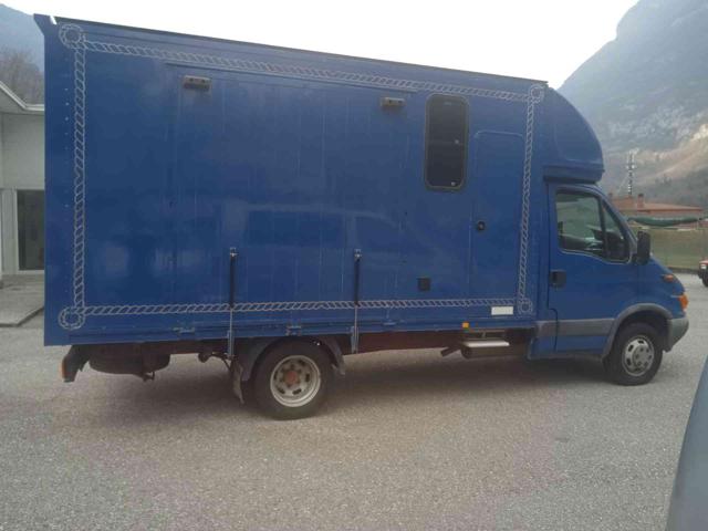Iveco Daily 35C12 2.3 Hpi Trasporto Cavalli Patente B !!! usato a LONGARONE