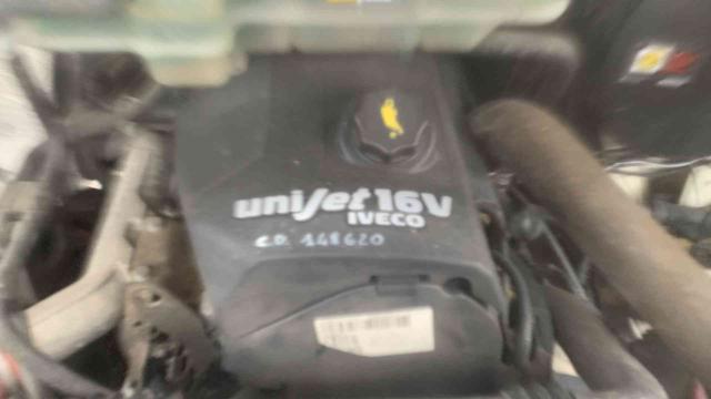 Iveco Daily 35C12 2.3 Hpi Trasporto Cavalli Patente B !!! usato a LONGARONE