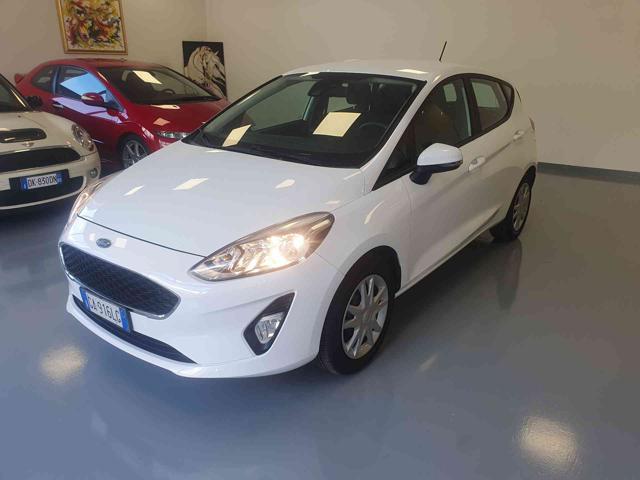 Ford Fiesta 1.5 EcoBlue 5 porte Business usato a LONGARONE