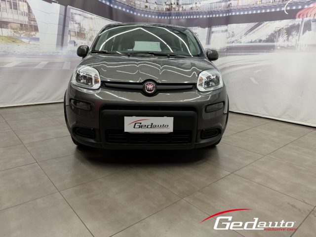 Fiat Panda 1.0 FireFly S&S Hybrid City Life usato a CASAGIOVE