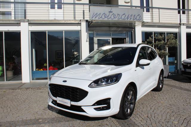 Ford Kuga 2.5 Full Hybrid 190 CV CVT 2WD ST-Line X usato a SILANDRO