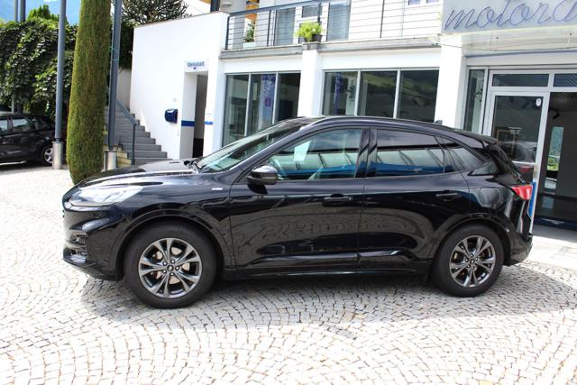 Ford Kuga 2.0 EcoBlue 190 CV aut. AWD ST-Line X Gancio LED - foto 2 di 4