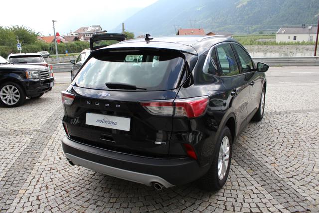 Ford Kuga 2.0 EcoBlue MildHybrid 150CV 2WD Titanium Business - foto 4 di 4