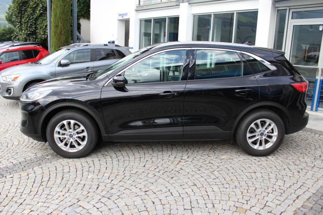 Ford Kuga 2.0 EcoBlue MildHybrid 150CV 2WD Titanium Business - foto 2 di 4