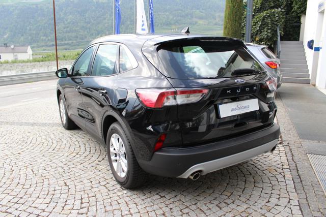 Ford Kuga 2.0 EcoBlue MildHybrid 150CV 2WD Titanium Business - foto 3 di 4