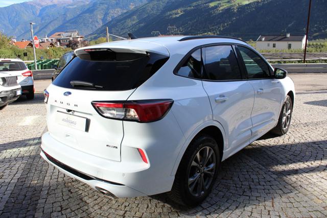 Ford Kuga 2.5 Plug In Hybrid 225 CV CVT 2WD ST-Line X - foto 4 di 4