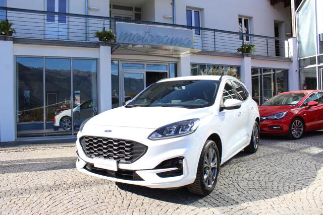 Ford Kuga 2.5 Plug In Hybrid 225 CV CVT 2WD ST-Line X, del 2023, 59.000 km, in vendita a Silandro (BZ)