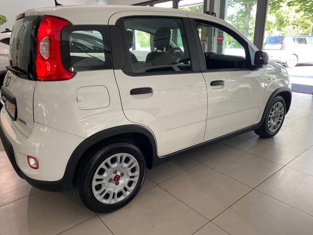 Fiat Panda 1.0 FireFly S&S Hybrid - foto 3 di 13