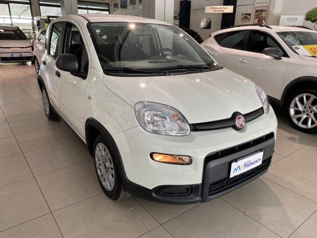 Fiat Panda 1.0 FireFly S&S Hybrid - foto 2 di 13