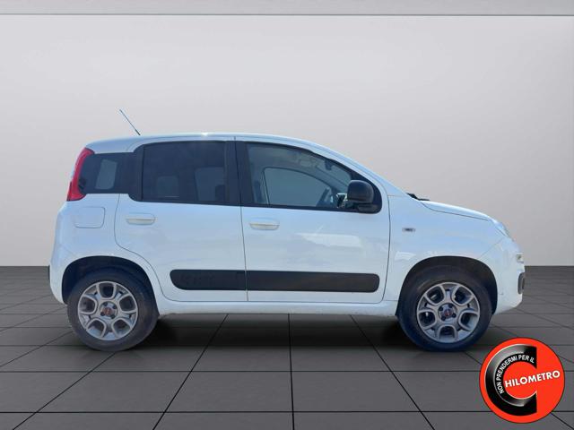 Fiat Panda VAN 4X4 1.3 MJT 80 CV-AUTOCARRO N1 2 POSTI-E6B+IVA - foto 4 di 24
