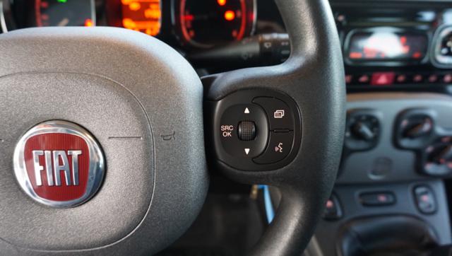 Fiat Panda 1.3 MJT S&S 4x4, del 2014, 114.000 km, in vendita a Pordenone (PN)