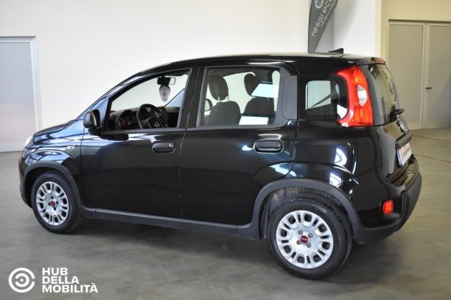Fiat Panda 1.0 FireFly S&S Hybrid - foto 4 di 4