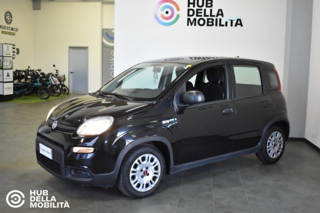 Fiat Panda 1.0 FireFly S&S Hybrid - foto 3 di 4