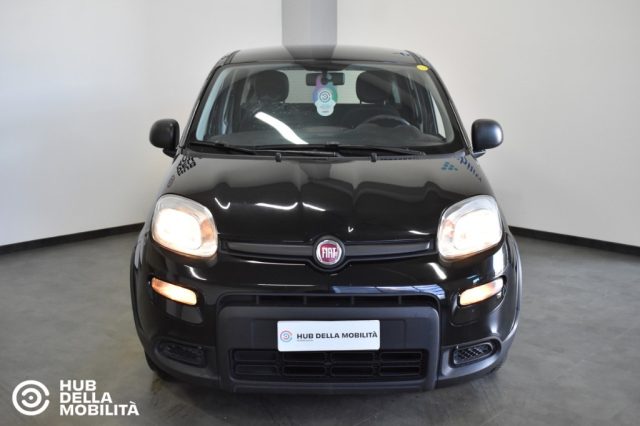 Fiat Panda 1.0 FireFly S&S Hybrid usato a FOLIGNO