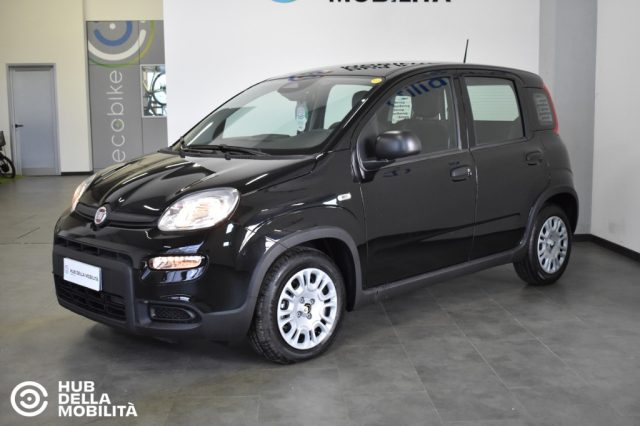 Fiat Panda 1.0 FireFly S&S Hybrid - Km 0 - foto 3 di 4