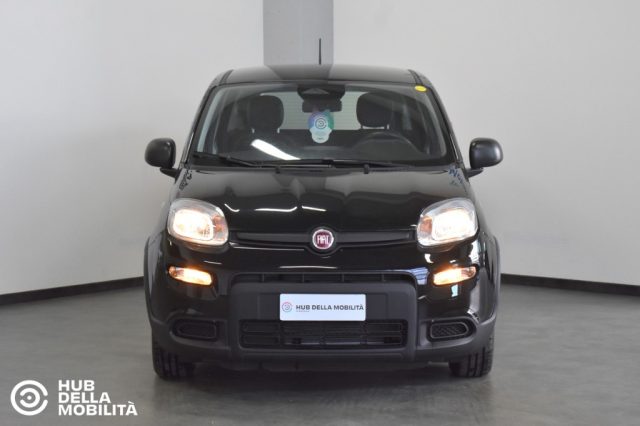Fiat Panda 1.0 FireFly S&S Hybrid - Km 0 usato a FOLIGNO