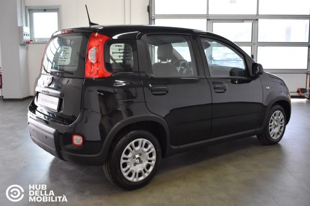Fiat Panda 1.0 FireFly S&S Hybrid - Km 0 - foto 4 di 4