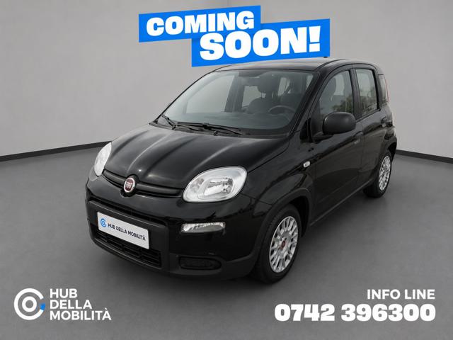 Fiat Panda 1.0 FireFly S&S Hybrid usato a FOLIGNO