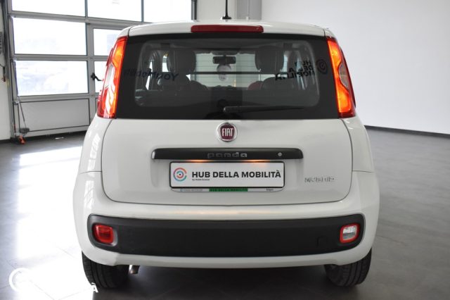 Fiat Panda 1.0 GSE S&S Hybrid Easy Van 4 posti - foto 4 di 4